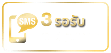 รอรับ SMS