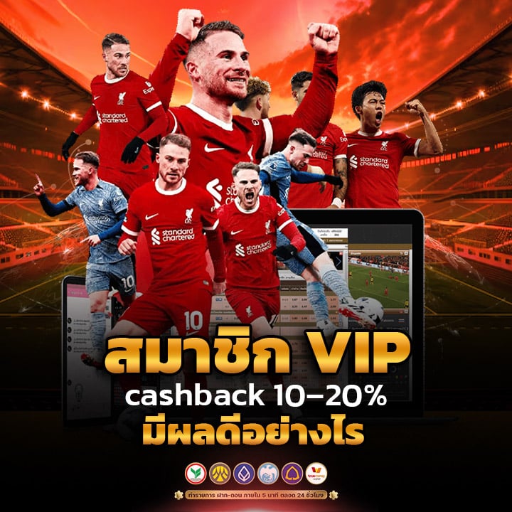 สมาชิก-VIP-รับ-cashback 10–20%